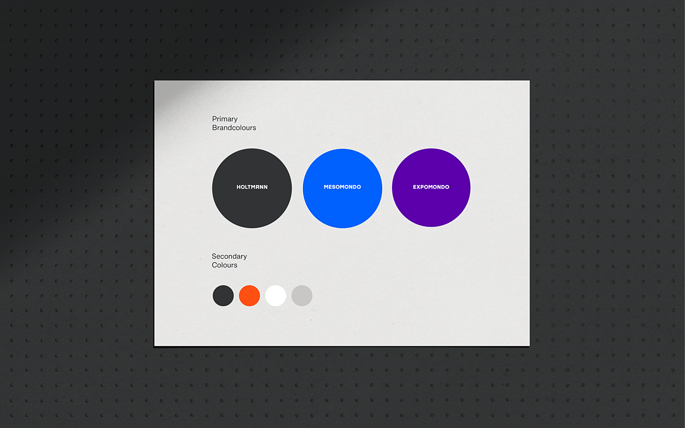 Holtmann branding 15 corporate colour