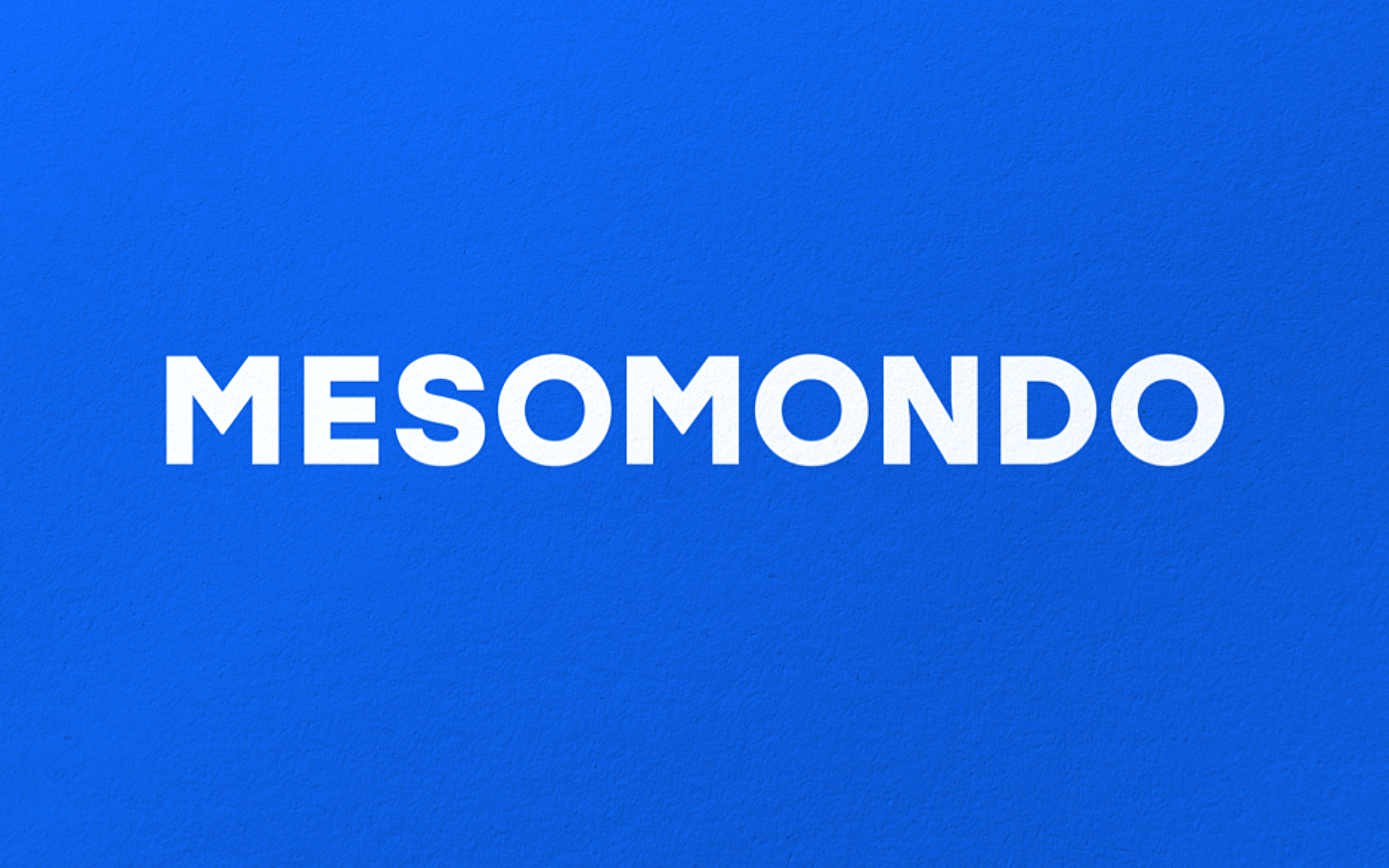 Holtmann branding 06 logo mesomondo