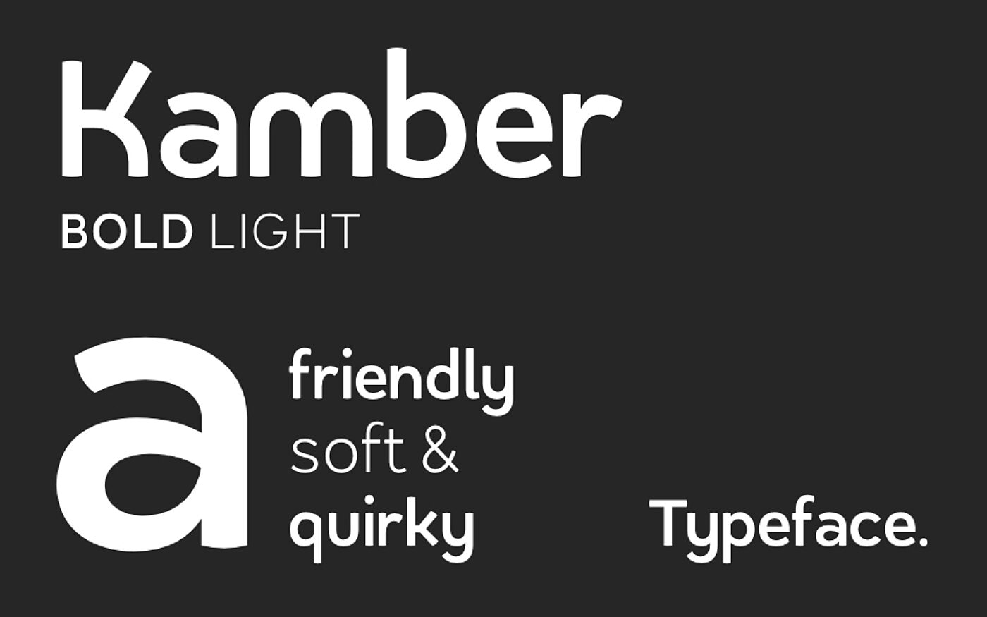 Zeppy website 13 brand type