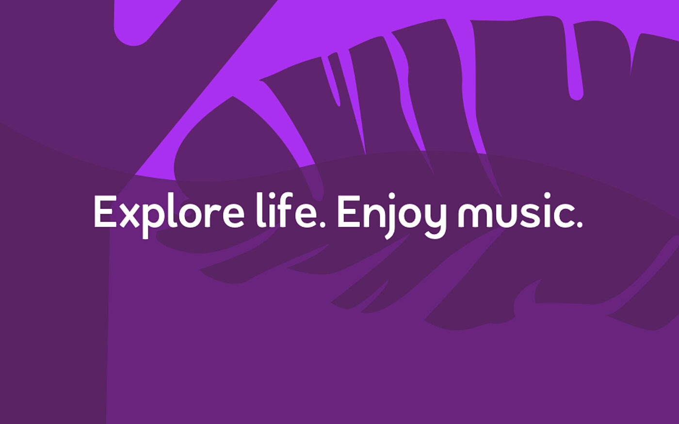 Zeppy website 15 brand claim